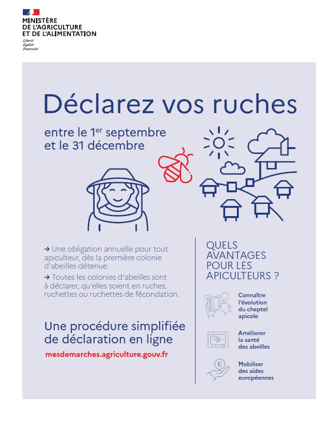 Apiculture – déclaration de ruches 2020