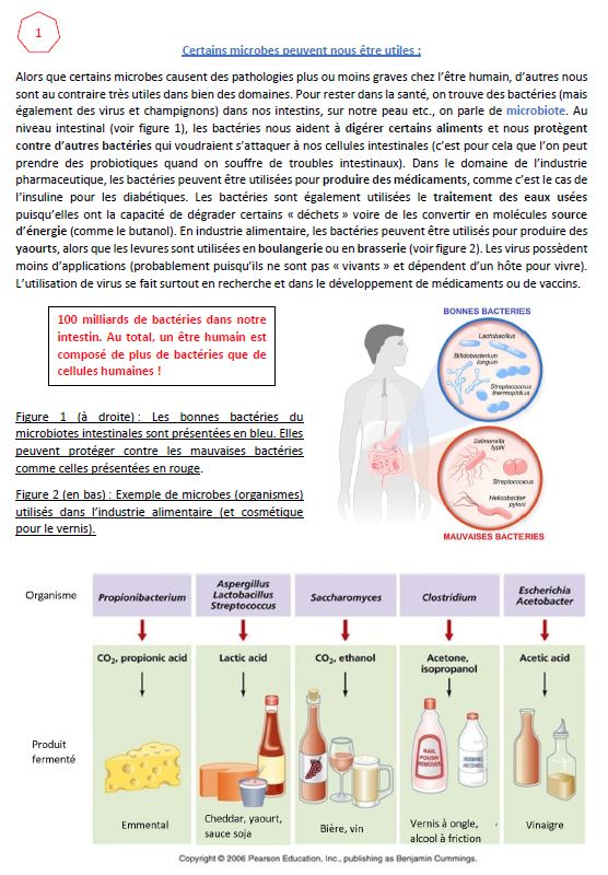 Exposition sur la vaccination et le COVID