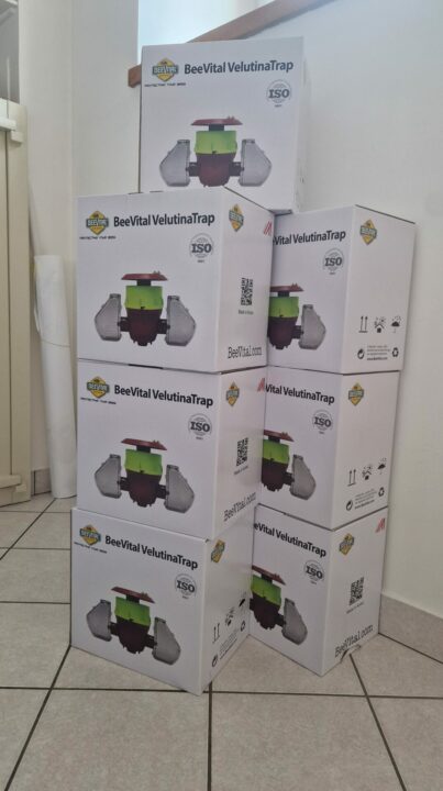 Photo de pièges à frelons asiatiques Beevital