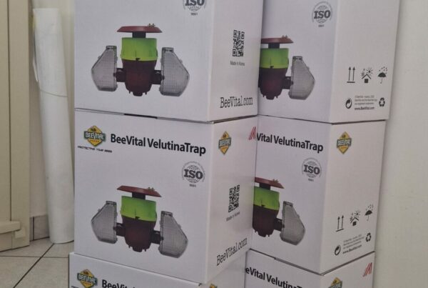 Photo de pièges à frelons asiatiques Beevital