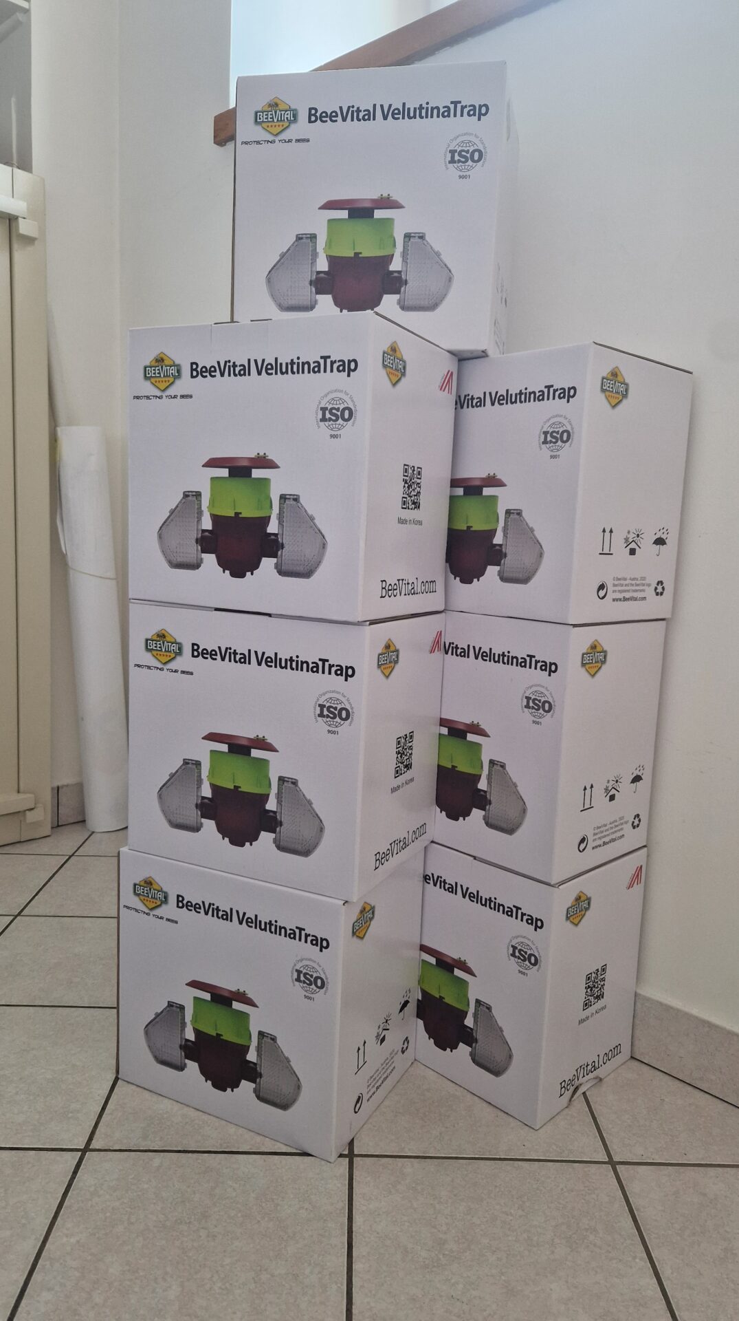 Campagne de piégeage du frelon asiatique : La commune met des pièges à votre disposition