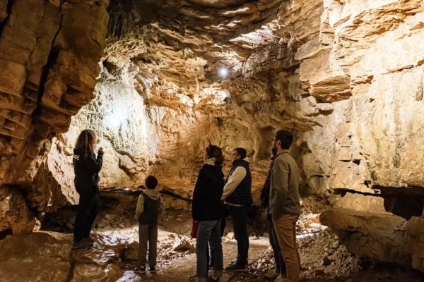 Grottes-SaintChristophe-©BeauvoirPhotographie-005 Grottes-SaintChristophe-©BeauvoirPhotographie-005